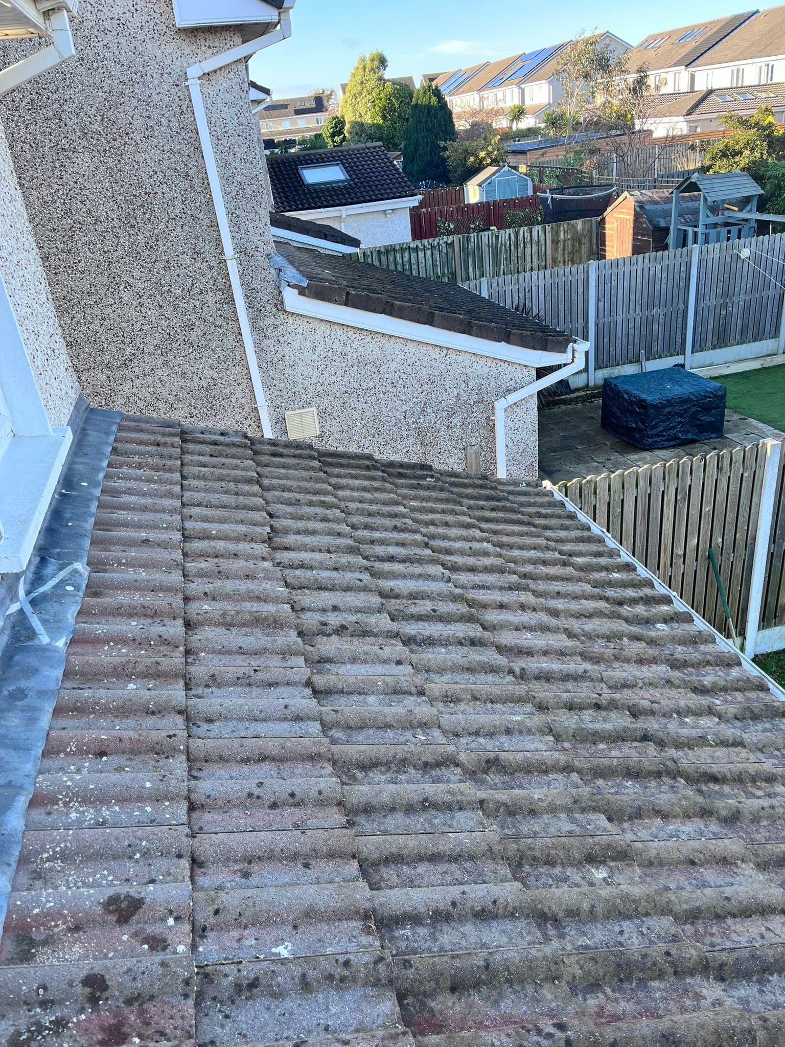 Roof Moss Removal After Dublin