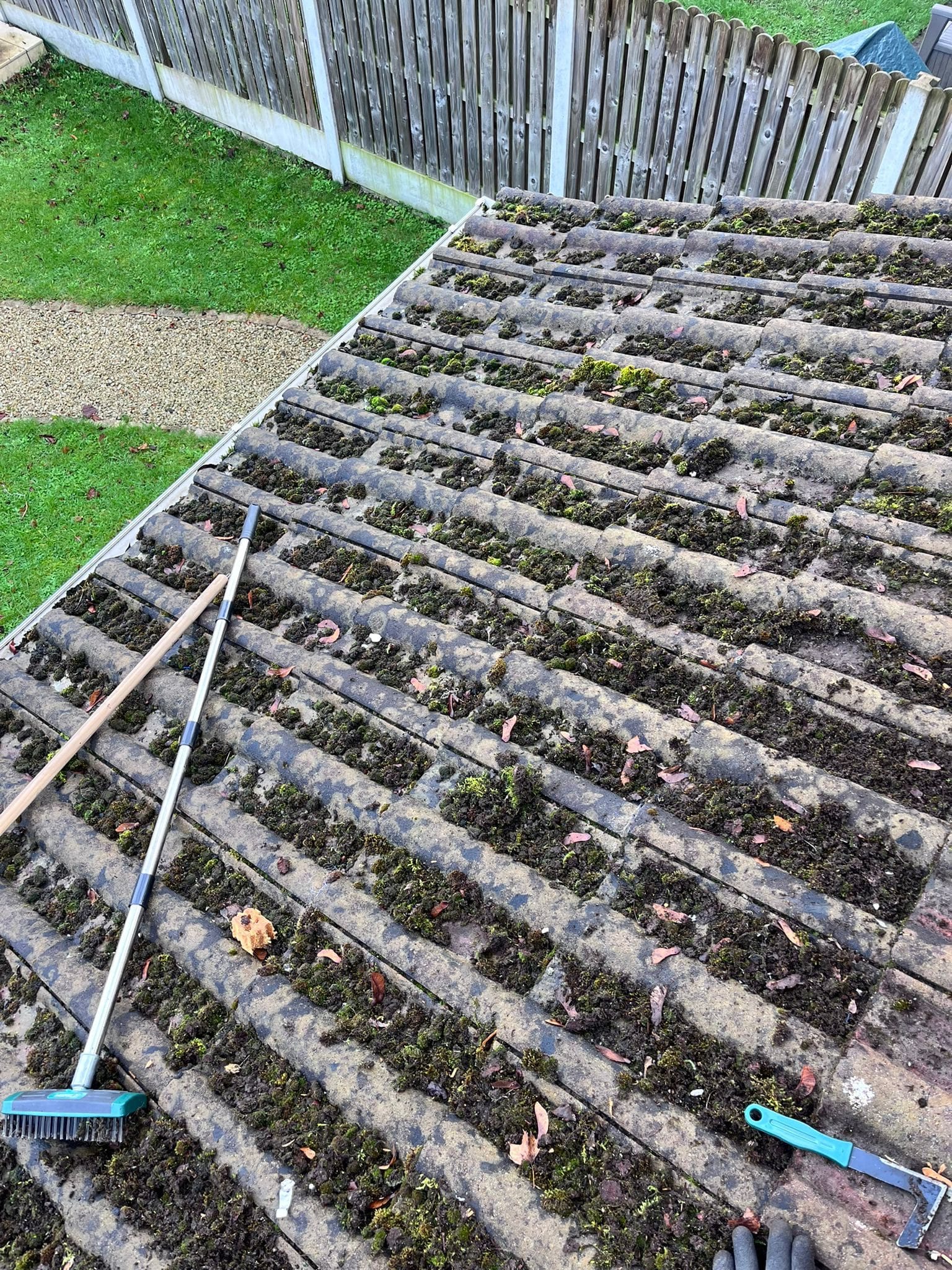 Roof Moss Removal Before Dublin