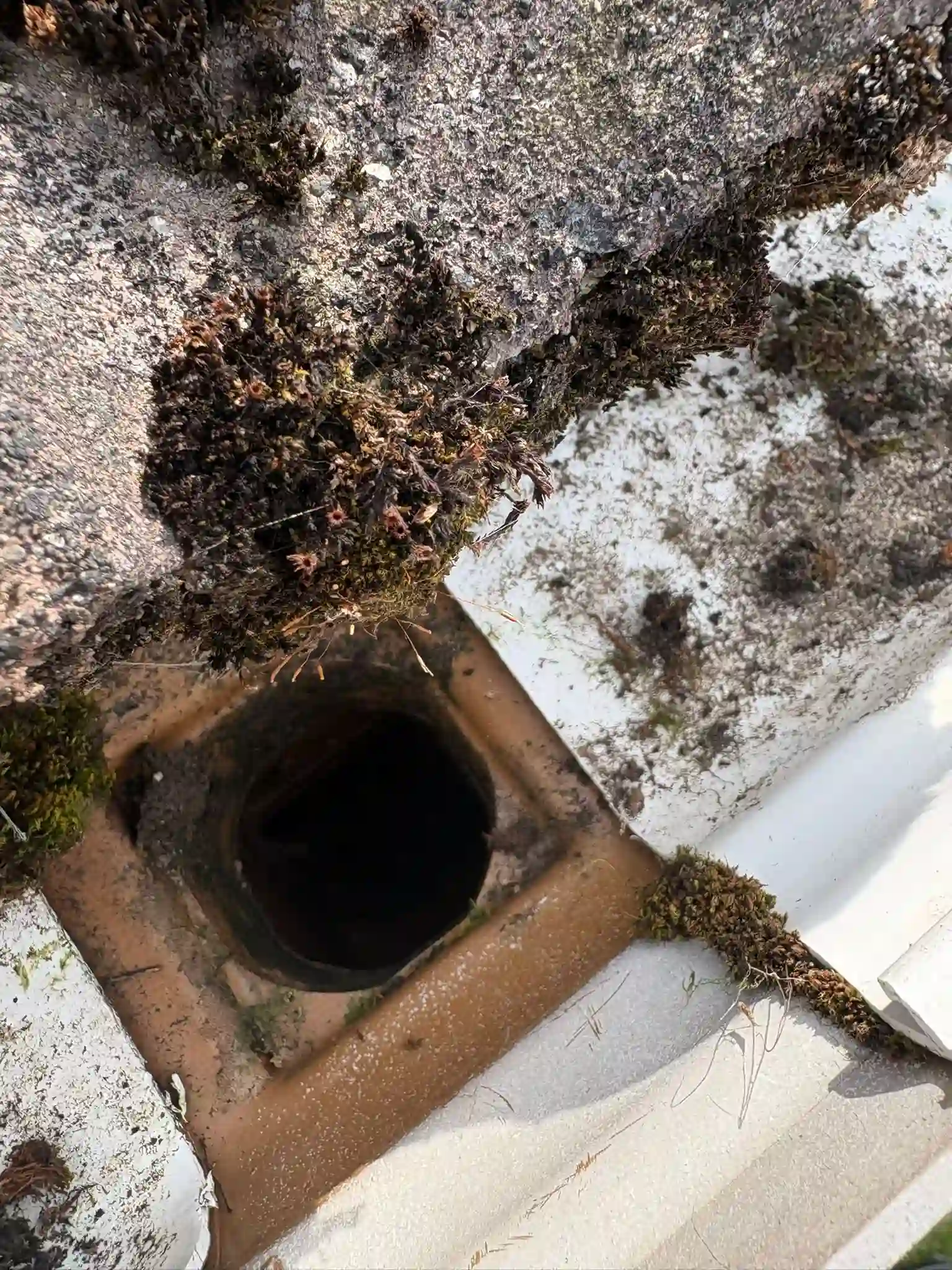Blocked downpipe with moss and debris — downpipe repair Dublin