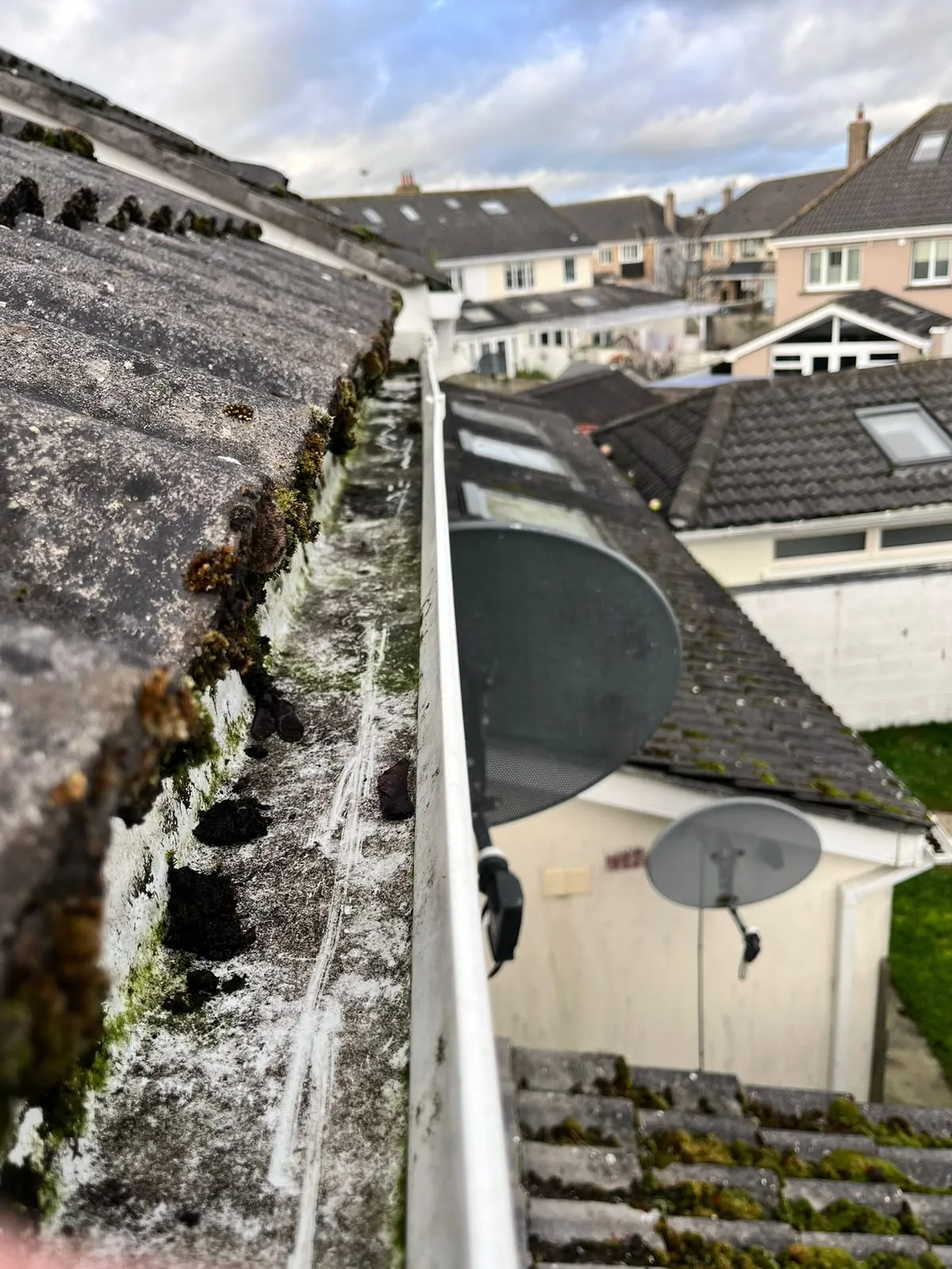 Blocked gutters full of moss and debris in Dublin before cleaning