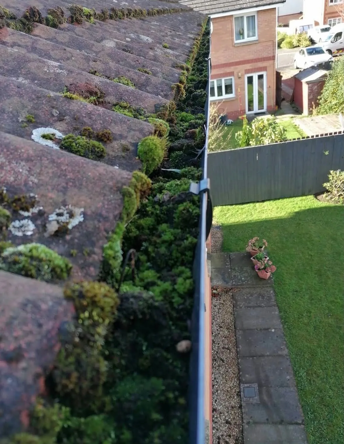 Blocked gutters full of moss and debris in Dublin before cleaning
