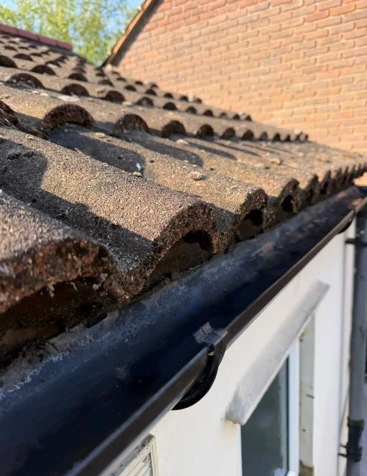 Gutter debris collected before cleaning